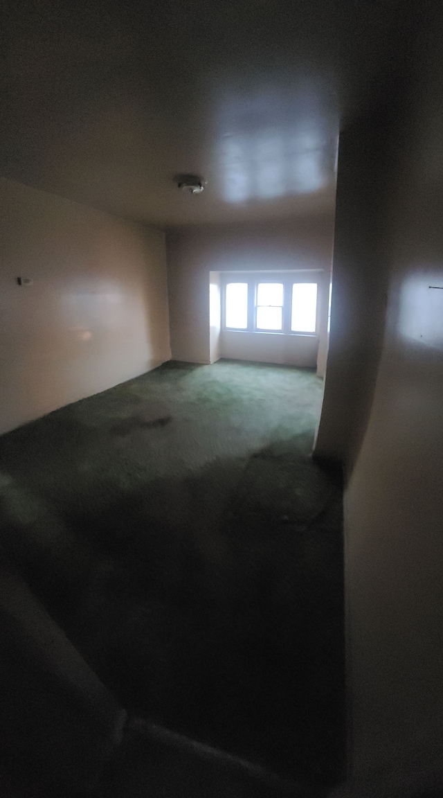 unfurnished room featuring carpet flooring