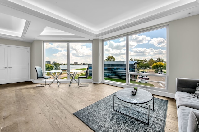 living room featuring a tray ceiling, plenty of natural light, and hardwood / wood-style floors