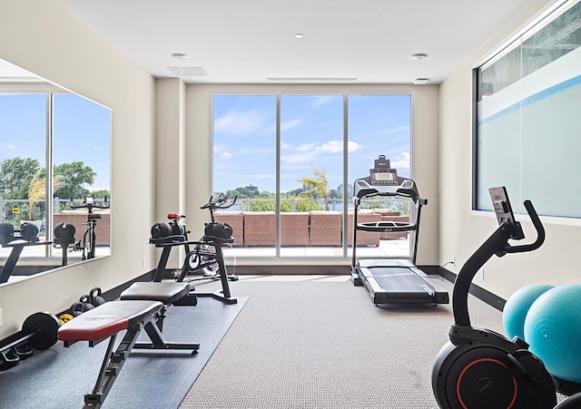 workout area with carpet flooring and a healthy amount of sunlight