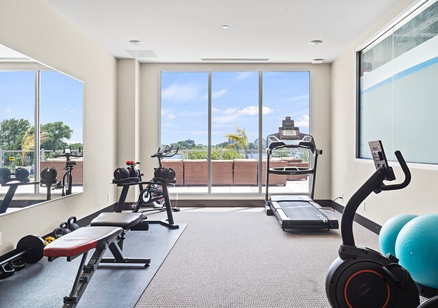201 Beers St Unit 34, Port Huron, MI 48060 - view of workout room