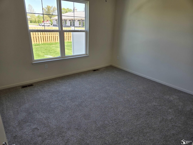 803 Plum Village Dr, Monroe, MI 48161 - empty room with plenty of natural light, baseboards, and carpet