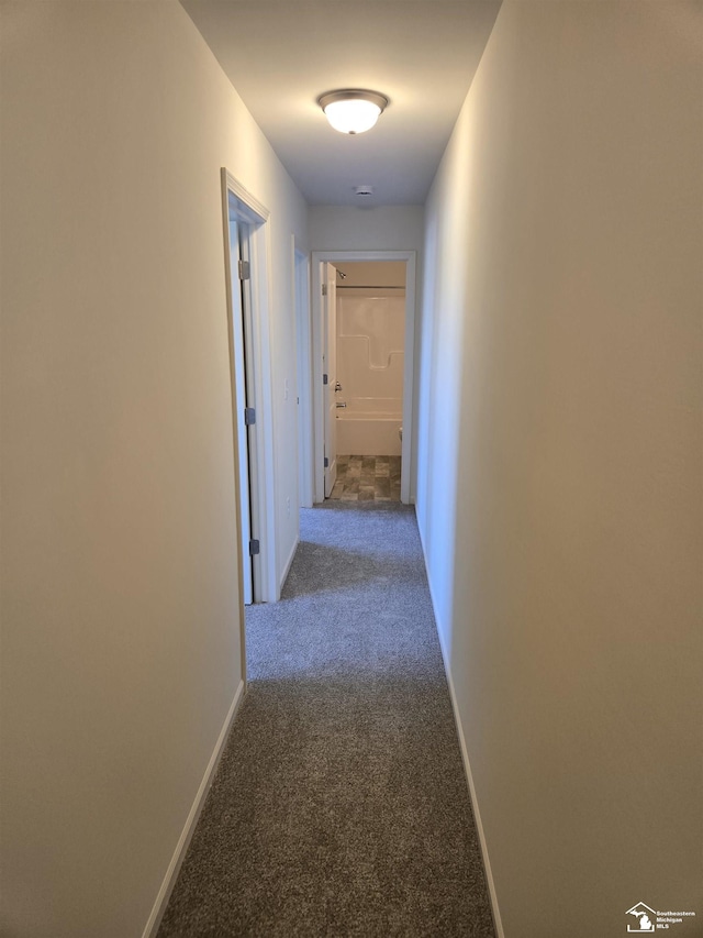 803 Plum Village Dr, Monroe, MI 48161 - corridor featuring carpet and baseboards