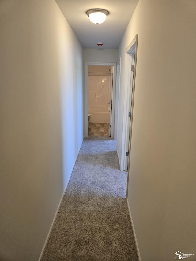 805 Plum Village Dr, Monroe, MI 48161 - hallway with carpet and baseboards