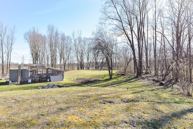 view of yard with an outbuilding