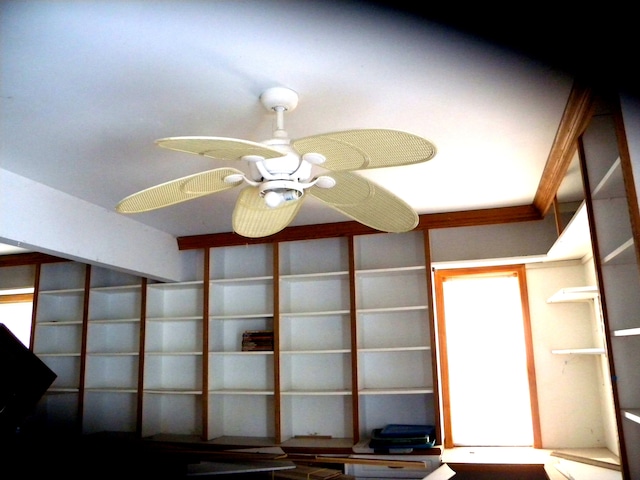 interior details featuring ceiling fan