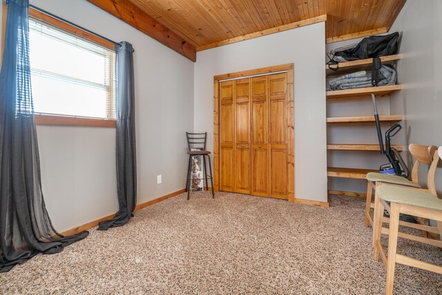 9363 S Grow Rd, Greenville, MI 48838 - carpeted bedroom with wooden ceiling, baseboards, and a closet