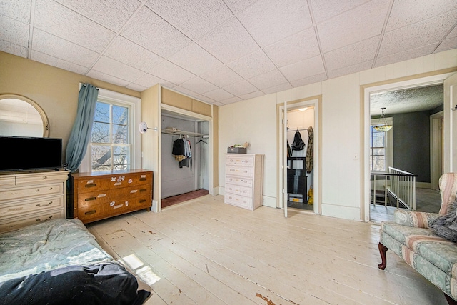 bedroom featuring a walk in closet, light wood-type flooring, and a closet