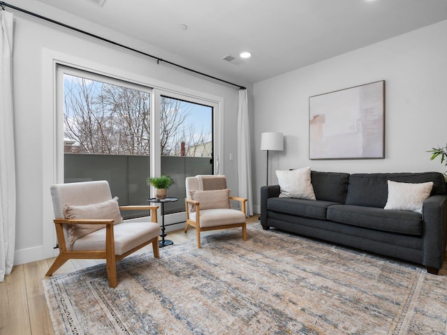 living room featuring wood-type flooring