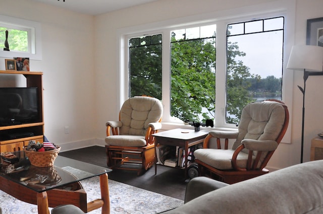 living room with plenty of natural light and dark hardwood / wood-style floors