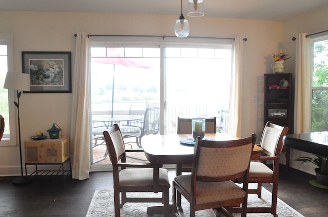 dining space featuring dark hardwood / wood-style flooring