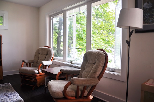 living area featuring plenty of natural light and dark wood-type flooring