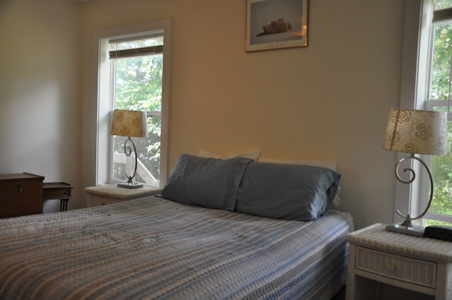 bedroom featuring multiple windows