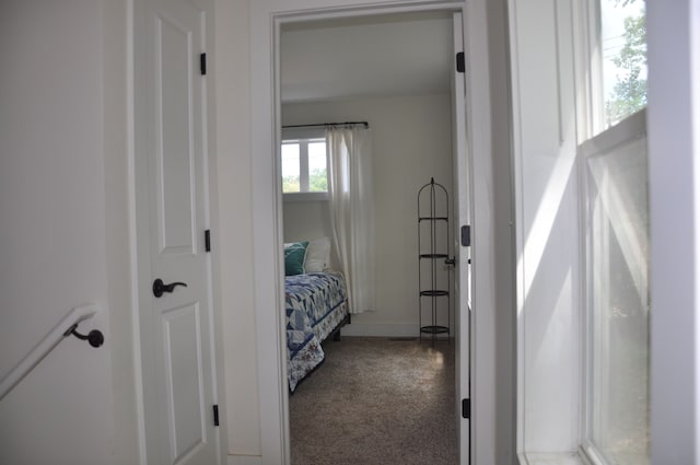 bedroom with carpet flooring