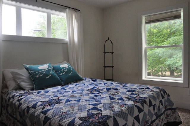 bedroom with multiple windows