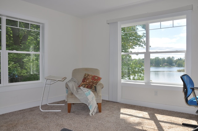 living area featuring carpet and a water view