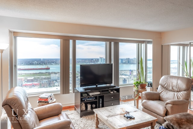 living room with hardwood / wood-style floors, a textured ceiling, and a wealth of natural light