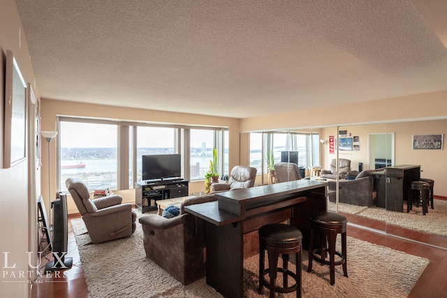 living room featuring hardwood / wood-style floors and a textured ceiling