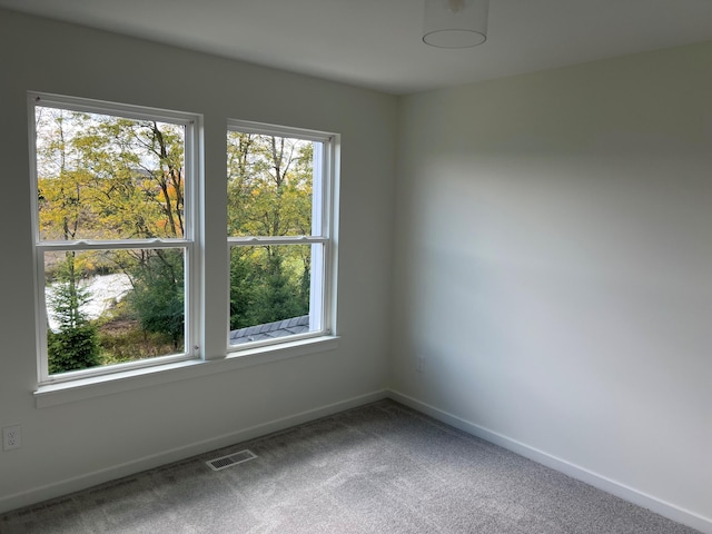 view of carpeted spare room