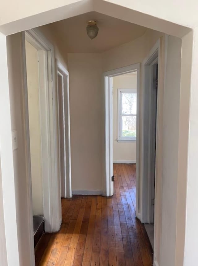 hall with dark wood-type flooring