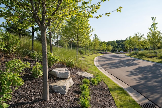 view of road featuring curbs