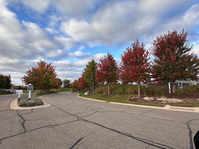 view of street featuring curbs