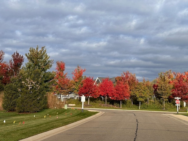 view of road with curbs and traffic signs