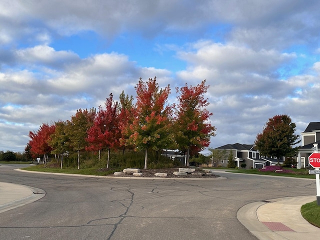 view of street featuring curbs and sidewalks