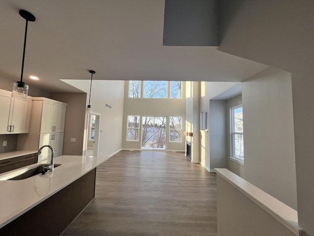 kitchen with white cabinets, light countertops, a sink, and wood finished floors