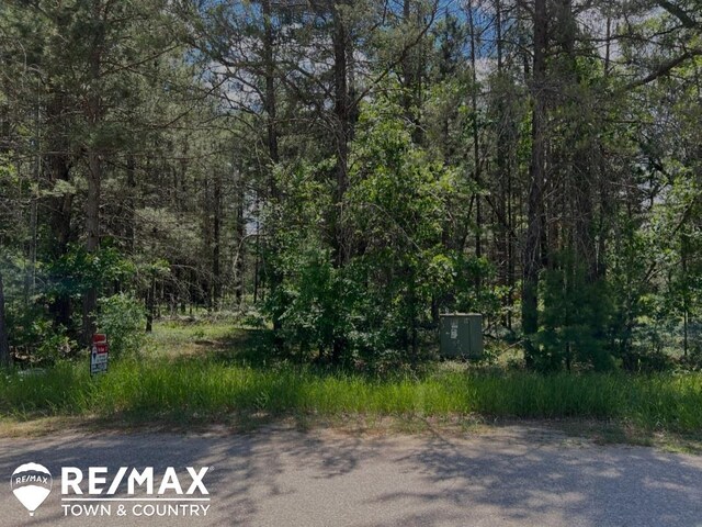 1793 Pinewood Dr, Alger, MI 48610