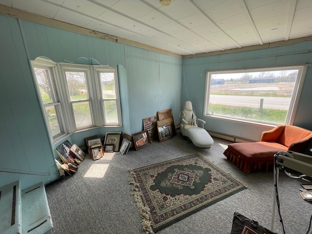 miscellaneous room featuring plenty of natural light, wood walls, carpet floors, and a baseboard heating unit