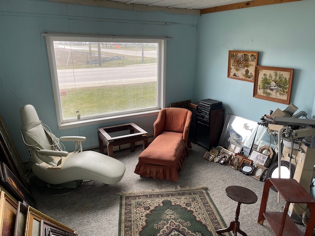 living area featuring plenty of natural light and carpet floors