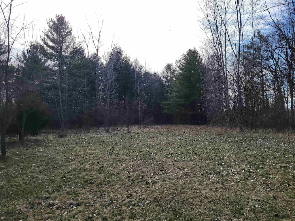 00 Clio Rd, Clio, MI 48420 - photo 1