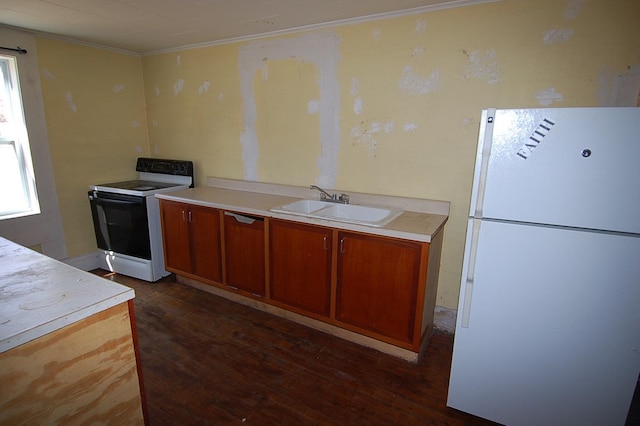 kitchen with white appliances, dark hardwood / wood-style floors, ornamental molding, and sink