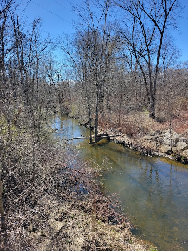 view of water feature