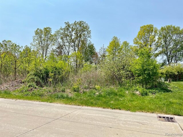 3418 Round Tree Dr, East China, MI 48054