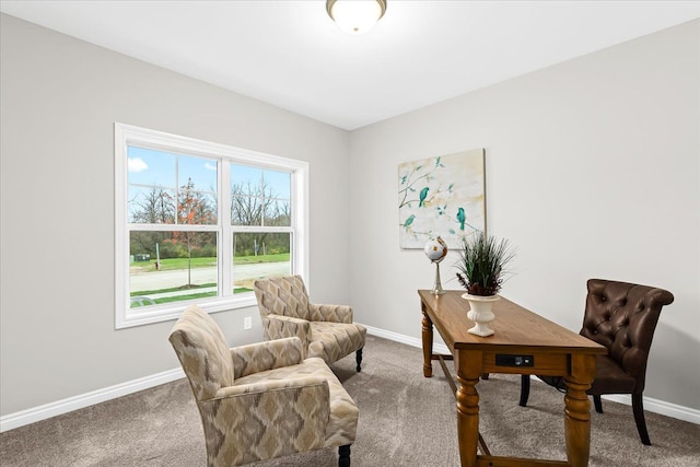 362 Jubilee Dr, Whitmore Lake, MI 48189 - carpeted office space with baseboards