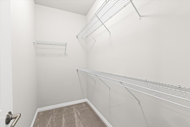 362 Jubilee Dr, Whitmore Lake, MI 48189 - walk in closet featuring carpet floors