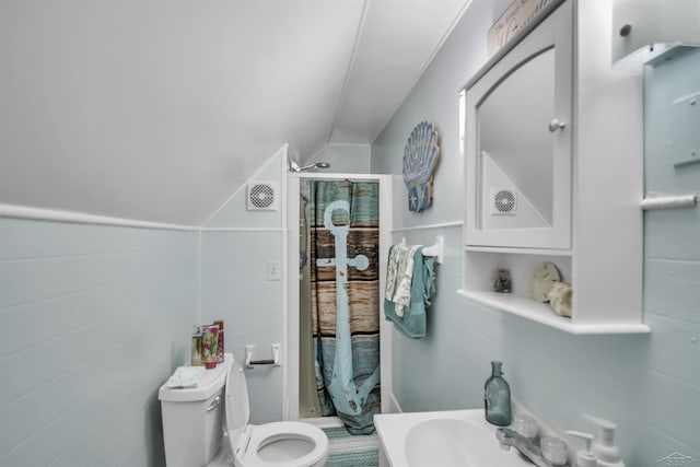 bathroom featuring toilet, vaulted ceiling, and walk in shower