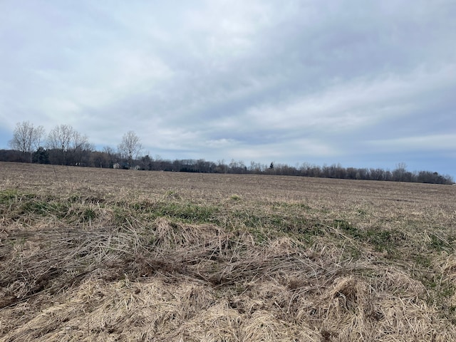 0 Imlay City Rd, Attica MI, 48412 land for sale