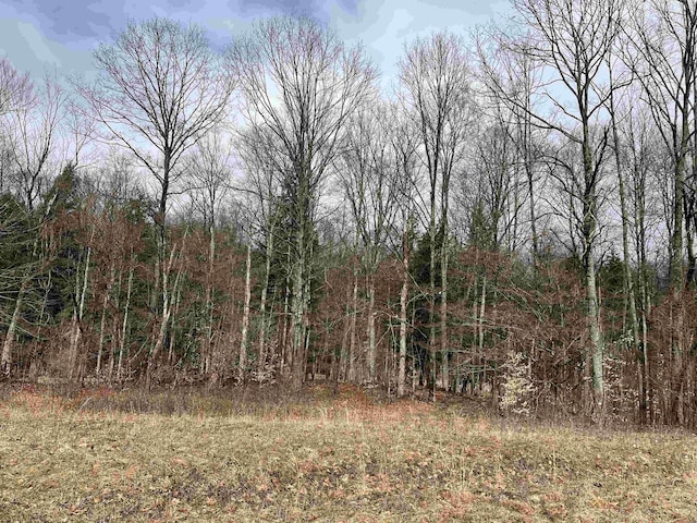 M-55, Wellston, MI 49689