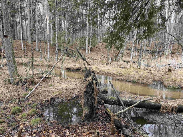 M-55, Wellston, MI 49689
