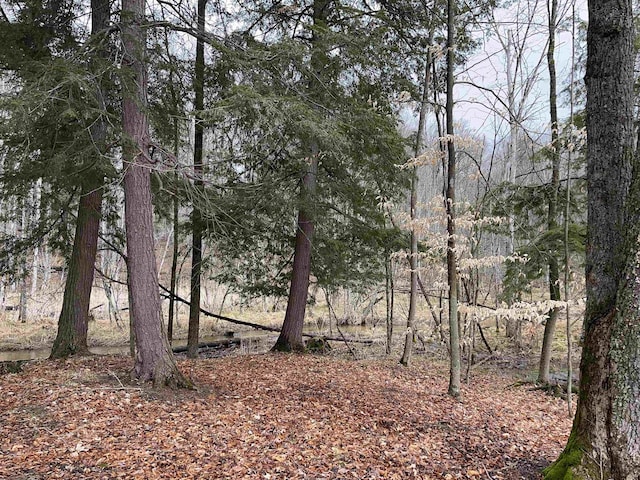 M-55, Wellston, MI 49689