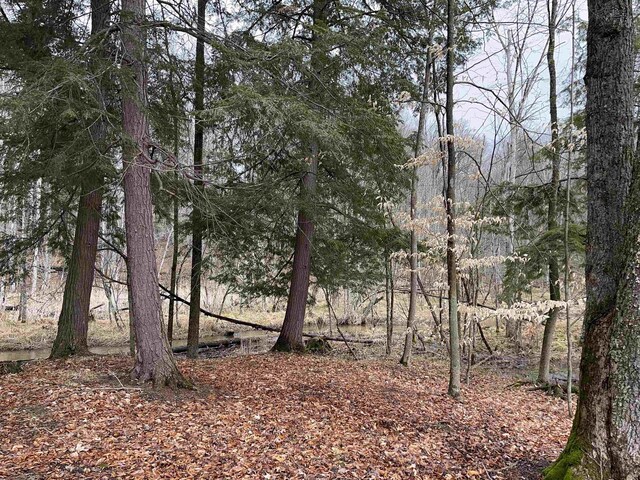 M-55, Wellston, MI 49689