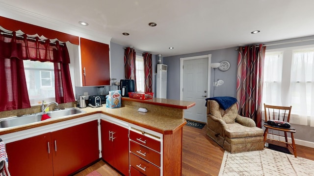 kitchen with kitchen peninsula, light hardwood / wood-style floors, and sink