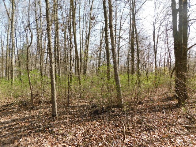 1976 Townline Rd, Benton Harbor, MI 49022 - view of woods