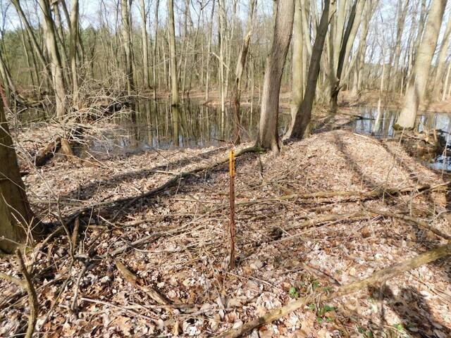 1976 Townline Rd, Benton Harbor, MI 49022 - view of nature