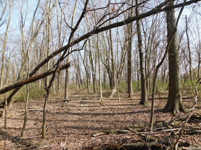 view of nature