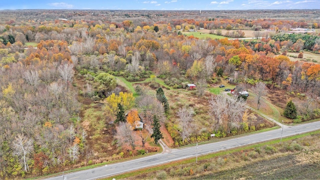 1976 Townline Rd, Benton Harbor, MI 49022 - aerial view of property's location with a forest