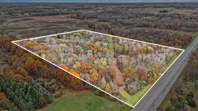 1976 Townline Rd, Benton Harbor, MI 49022 - aerial overview of property's location with property parcel outlined and a heavily wooded area