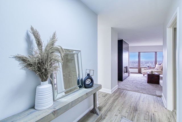 5000 Town Ctr Unit 2205, Southfield, MI 48075 - hallway with baseboards and light wood-style flooring